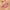 KYLIE COSMETICS Блеск для губ
