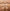 GUCCI тональный кушон SPF 20 PA ++