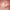 Charlotte Tilbury набор для губ fresh pink